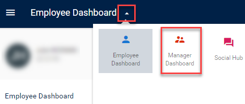 Manager dashboard manager dashboard